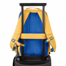 Incase รุ่น Facet 25L Backpack - กระเป๋าเป้สะพายหลัง ความจุ 25 ลิตร - สี Sunflower