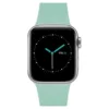 MINTAPPLE. รุ่น Perfect Fit Silicone Band - สายนาฬิกา Apple Watch 42/44/45/46/49mm - สี Mist Green/Silver