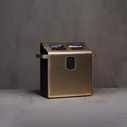 [Pre-Order] Mondo รุ่น Speaker (Medium) - ลำโพงบลูทูธ - สี Brass
