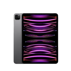 iPad Pro 11" (M4/5th Gen/2024)
